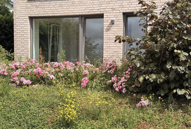 ...modern, barrierearm mit großer Terrasse und Wohlfühlcharakter!!!